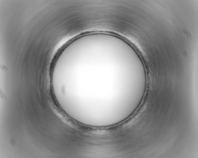 X0000091370982200708101111