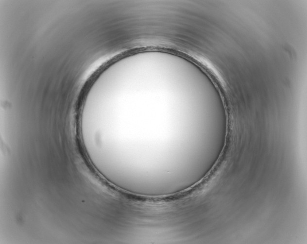 X0000091370983200708101111
