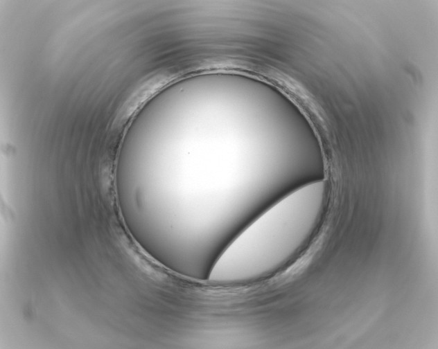 X0000091370985200708101111