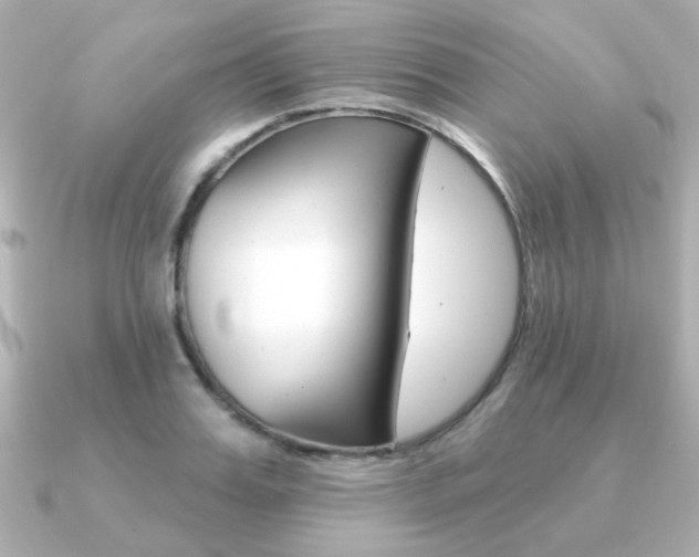 X0000091370987200708101111