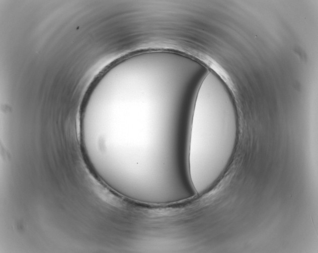 X0000091370988200708101111