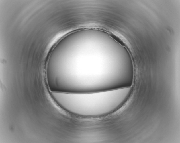 X0000091370989200708101111