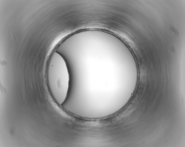 X0000091370990200708101111