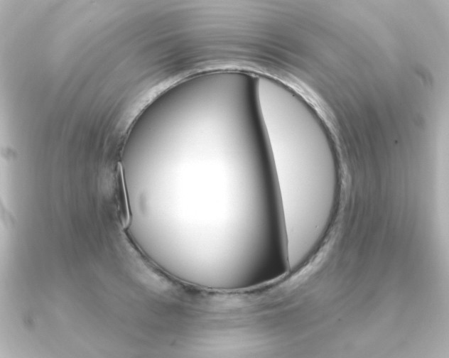 X0000091370993200708101111