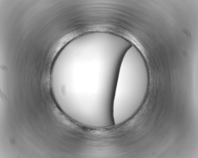 X0000091370994200708101111