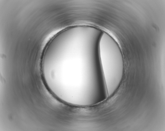 X0000091370995200708101111