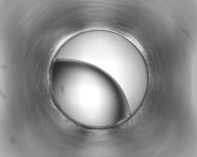 X0000091370996200708101111