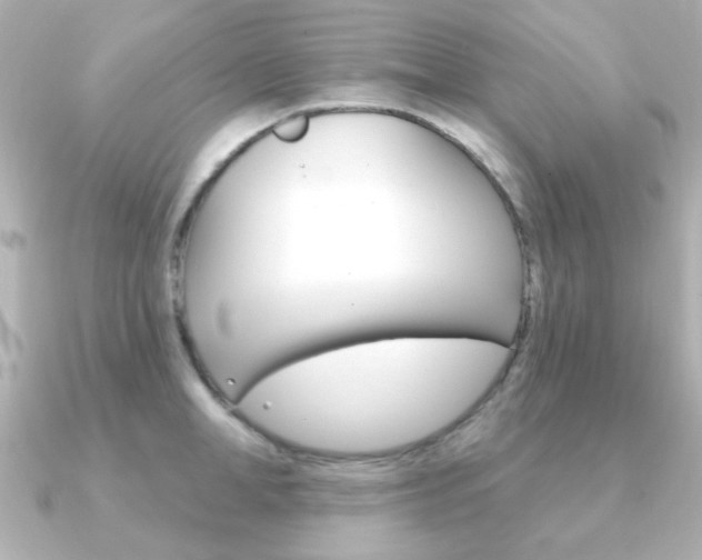 X0000091370998200708101111