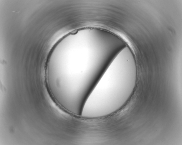 X0000091370999200708101111