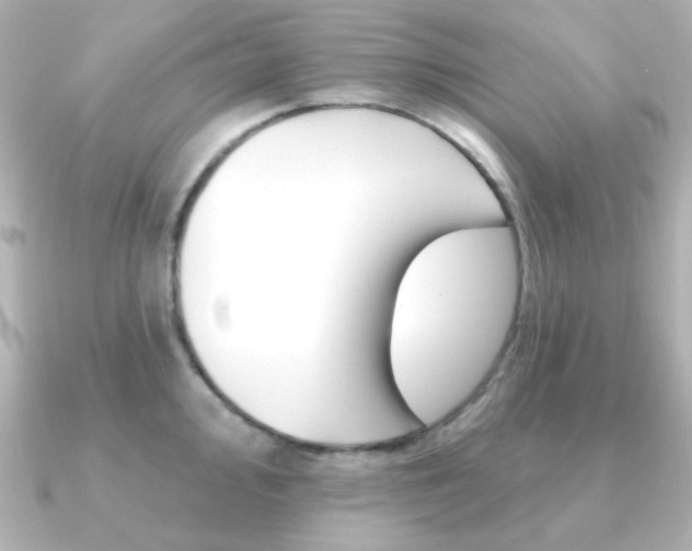 X0000091371000200708101111