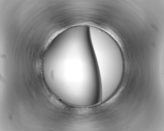X0000091371001200708101111