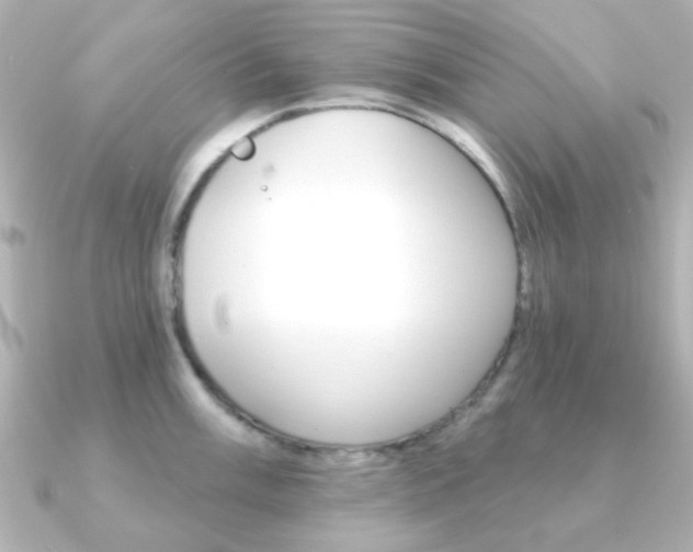 X0000091371003200708101111