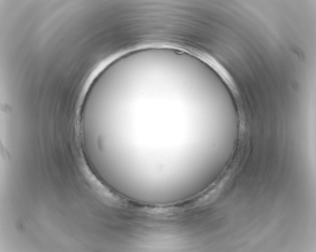 X0000091371004200708101111