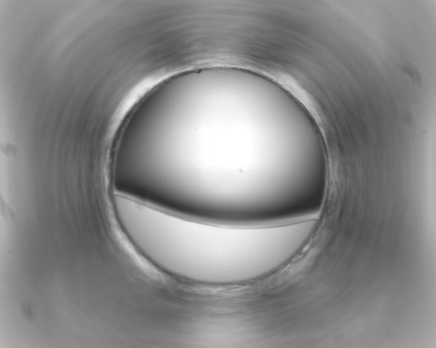 X0000091371005200708101111