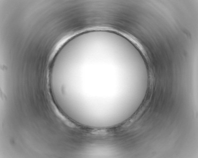 X0000091371006200708101111