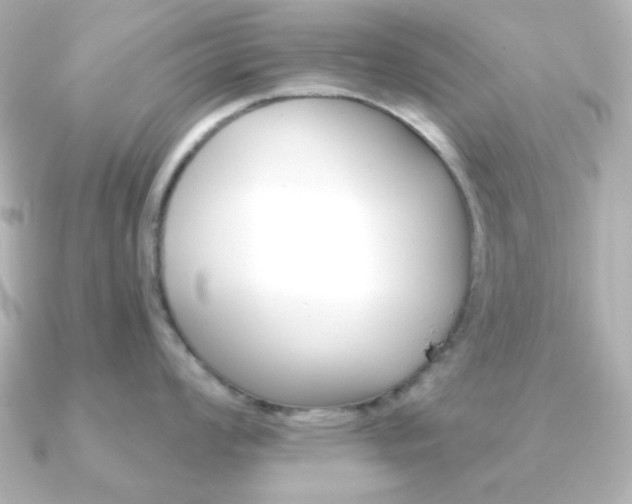 X0000091371008200708101111
