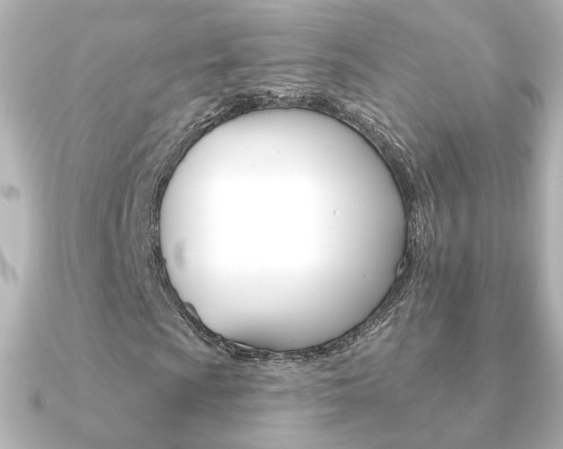 X0000091371009200708101111