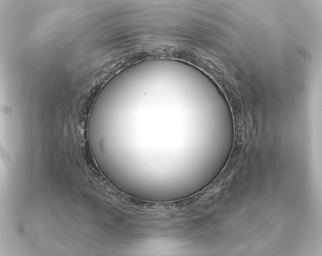 X0000091371013200708101111