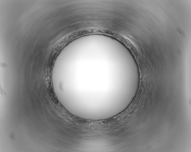X0000091371015200708101111
