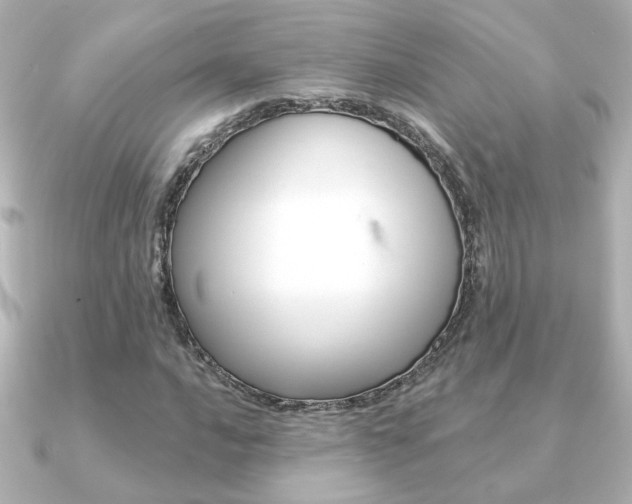 X0000091371016200708101111