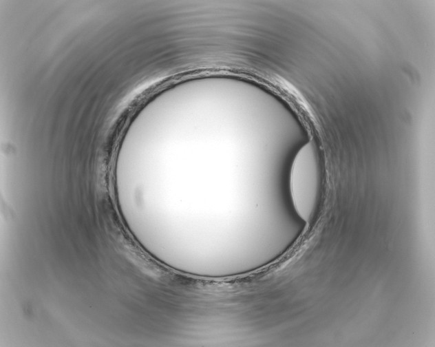 X0000091371019200708101111