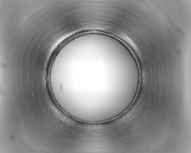 X0000091371020200708101111