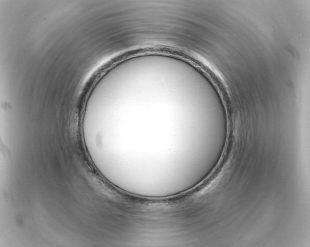 X0000091371021200708101111