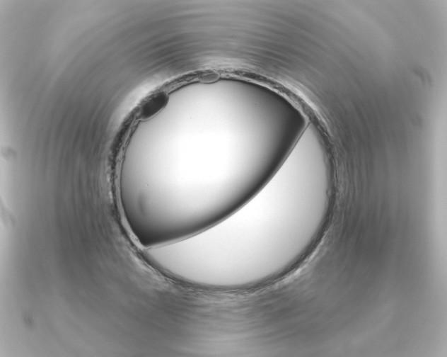 X0000091371022200708101111