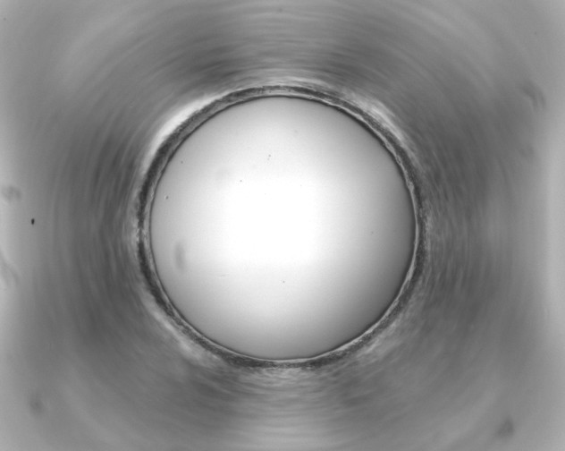 X0000091371024200708101111