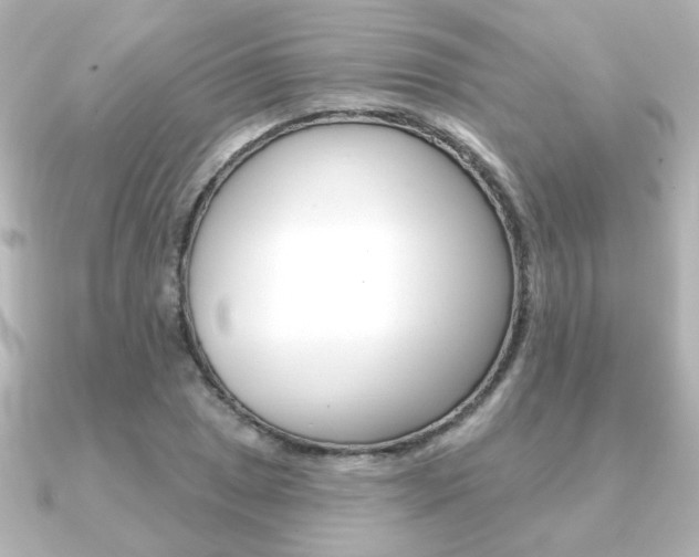 X0000091371025200708101111