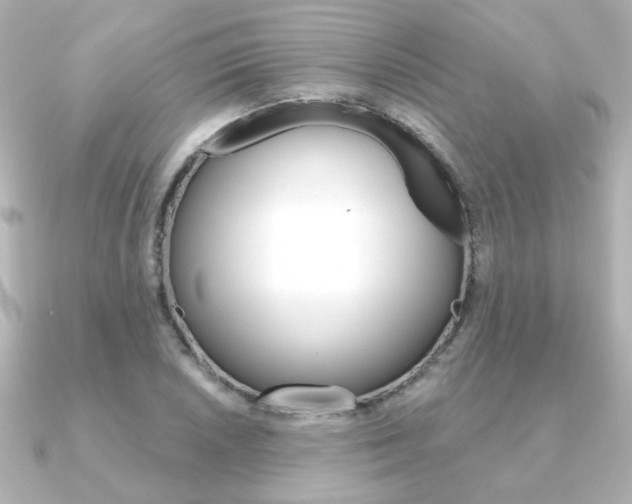 X0000091371026200708101111