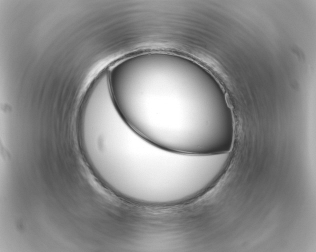 X0000091371030200708101111