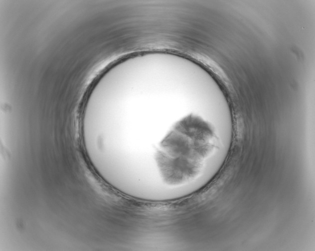X0000091371031200708101111