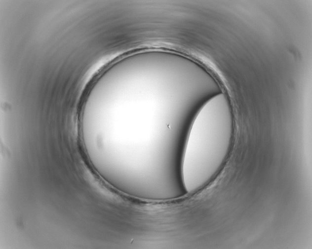 X0000091371032200708101111