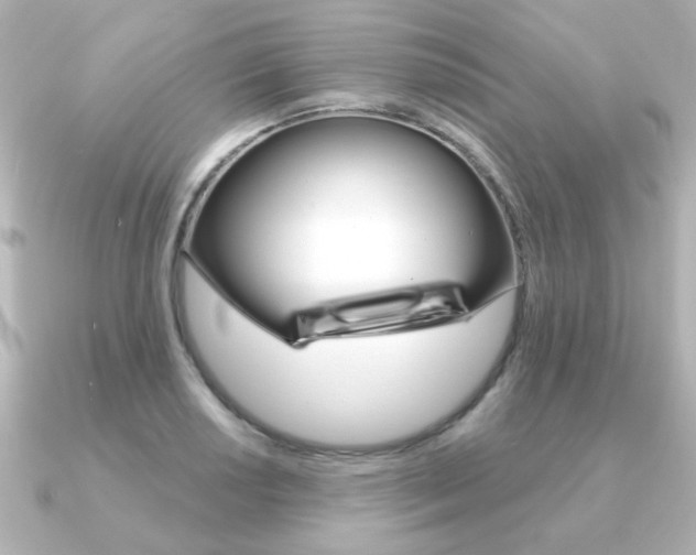 X0000091371034200708101111