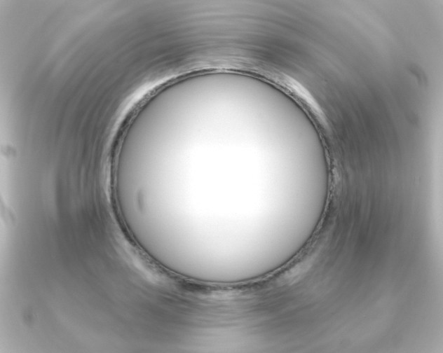 X0000091371035200708101111