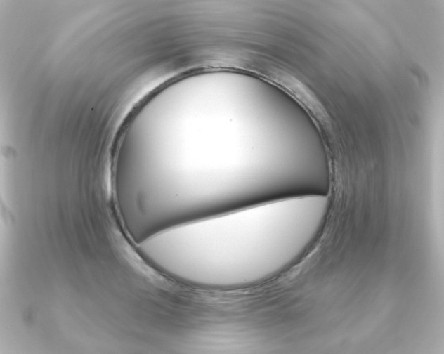 X0000091371036200708101111
