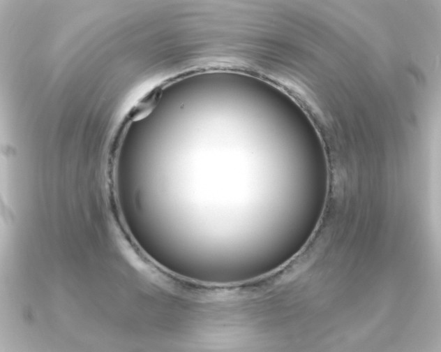 X0000091371038200708101111