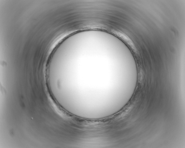 X0000091371039200708101111