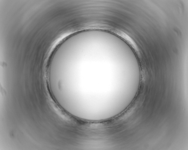 X0000091371043200708101111