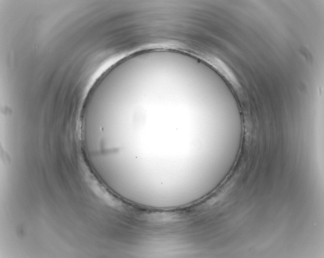 X0000091371044200708101111