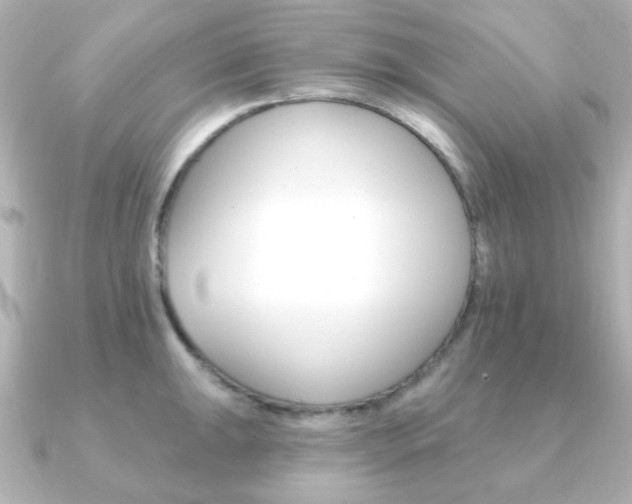 X0000091371047200708101111
