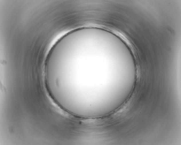 X0000091371048200708101111