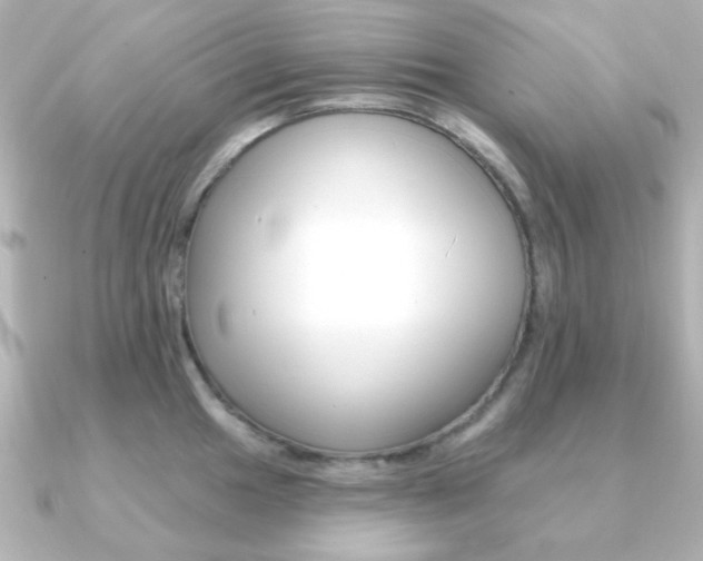 X0000091371049200708101111