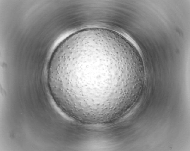X0000091371053200708101111
