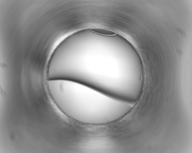 X0000091371056200708101111