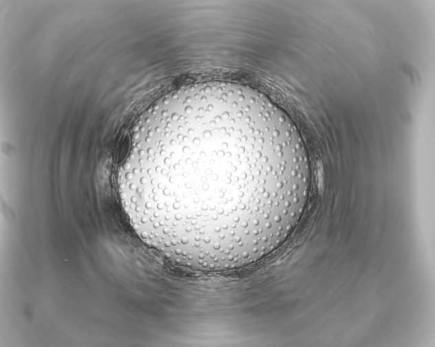 X0000091371059200708101110