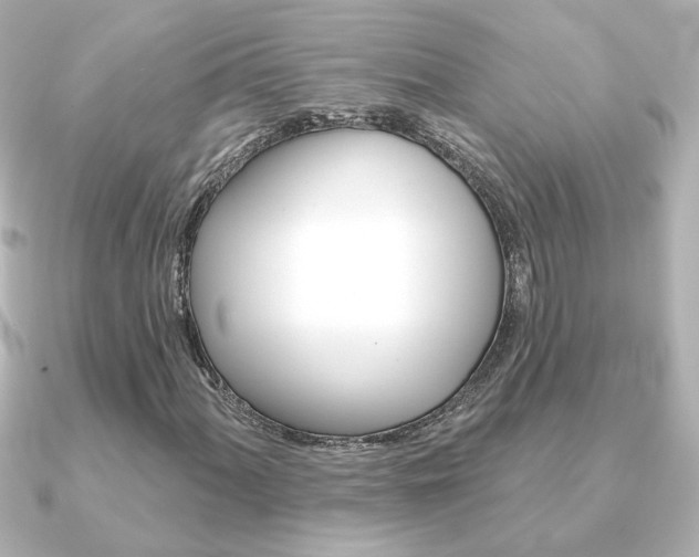 X0000091371060200708101110