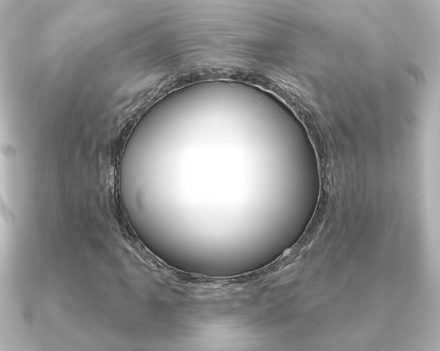 X0000091371061200708101110