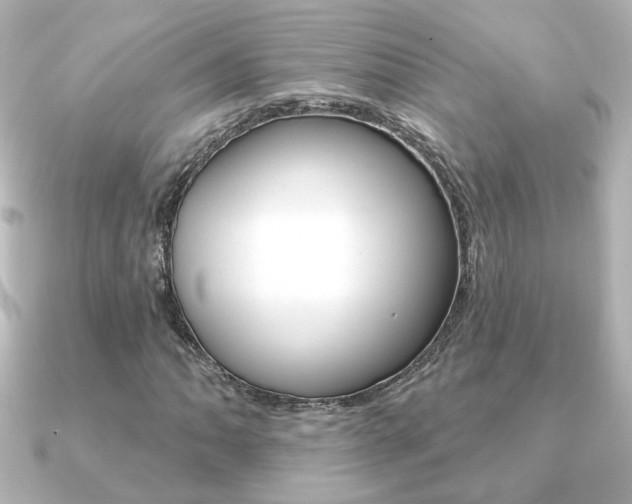 X0000091371062200708101110
